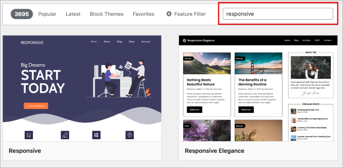 responsive themes