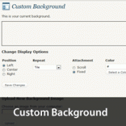 Custom Background WordPress