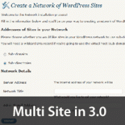 Multi-site WordPress