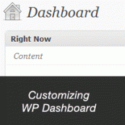 Customizing WP Admin
