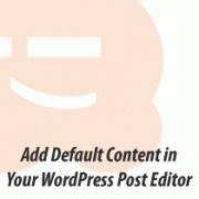Default Content Post Editor