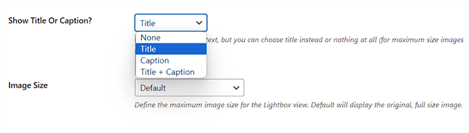 Configure image title and size for the gallery