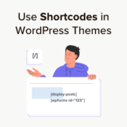 How to use shortcodes in your WordPress themes