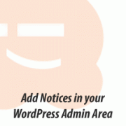 Warning Notices in WP Admin
