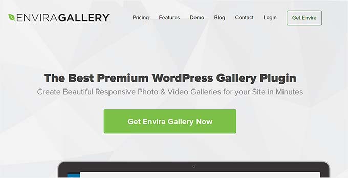 Envira Gallery website