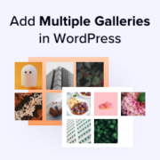 How to add multiple galleries in WordPress posts and pages