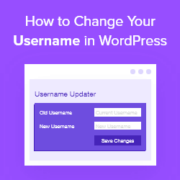 How to Properly Change Your WordPress Username (Step by Step)