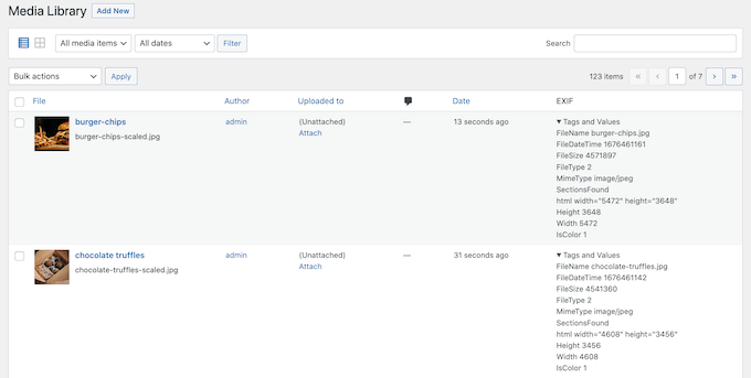 EXIF tags and values on a WordPress website