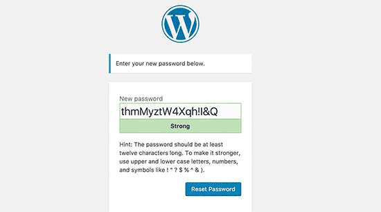 输入您的 WordPress 帐户的新密码