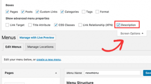 How to Add Menu Descriptions in Your WordPress Themes