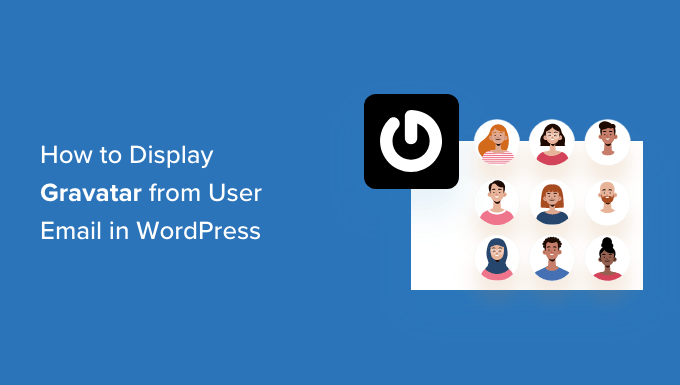 How to display Gravatar from user email in WordPress