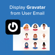 How to display Gravatar from user email in WordPress