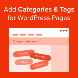 What Are WordPress Tags? WordPress Tags Explained