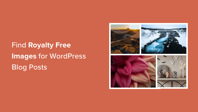 Find Royalty Free Images for Your WordPress Blog Posts