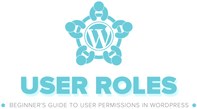 User Roles Infographic