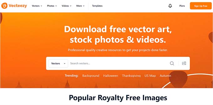 WebHostingExhibit vecteezy-website-1 How to Find Royalty Free Images for Your WordPress Blog Posts  