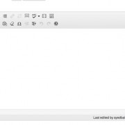 Visual WordPress Text Editor