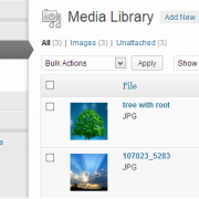 WordPress Media Settings Screen