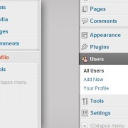 Editing user profile in WordPress