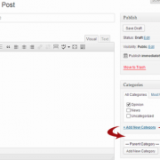 Adding a category from post edit screen in WordPress