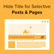 How to Hide Title for Selective WordPress Posts and Pages