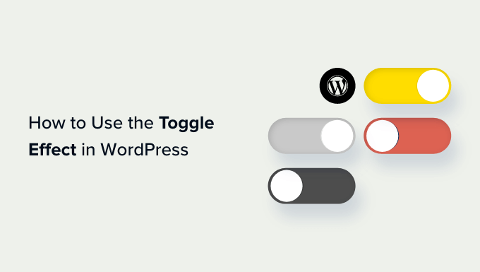 How to show and hide text in WordPress posts with the toggle effect