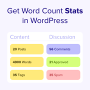 How to Get Word Count Stats in WordPress
