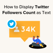 How to display Twitter followers count as text in WordPress