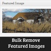 How to Bulk Remove Featured Images in WordPress