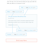 Understanding The WordPress Loop - Infographic