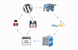 How to Install and Setup W3 Total Cache for Beginners (Easy)
