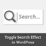 How to Add Search Toggle Effect in WordPress