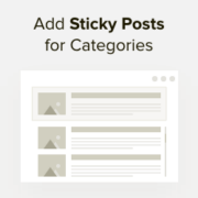 How to add sticky posts for categories WordPress