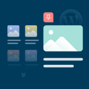 Hur man lägger till "sticky" inlägg för kategorier i WordPress