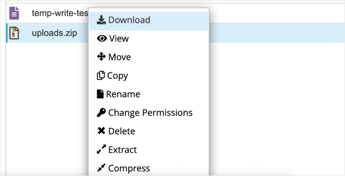 Download del file Zip di Uploads tramite Gestione file di cPanel Download del file Zip di Uploads tramite Gestione file di cPanel