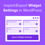 How to Import/Export Widget Settings in WordPress