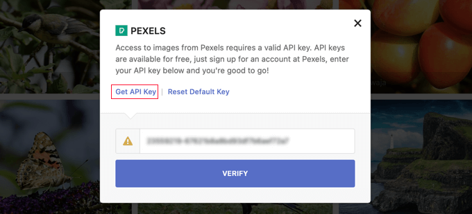 要使用即时图像在 Pexels 中查找图像，您将需要 API 密钥