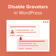How to Disable Gravatars in WordPress
