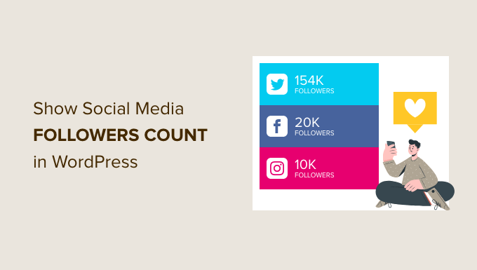 Show social media follower count in WordPress
