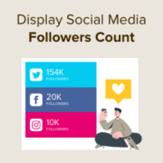 How to Display Social Media Followers Count as Text in WordPress