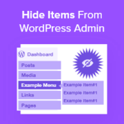 Hide items from WordPress admin