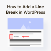 How to Add a Line Break in WordPress