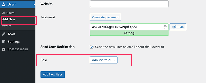 Developer account on a staging site