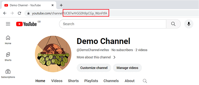 Add channel ID for your website