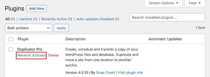 Aktywacja wtyczki Duplicator w sieci