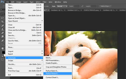 Aprire un'immagine in Perfect Resize da Adobe Photoshop