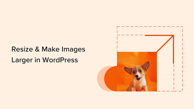 Redimensionar para aumentar as imagens no WordPress