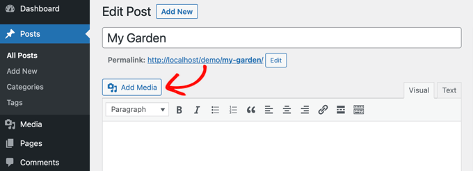 Click 'Add Media' in the classic editor to add an image to your post