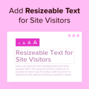 How to add resizeable text for site visitors in WordPress