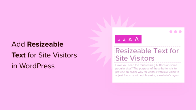 How to add resizeable text for site visitors in WordPress
